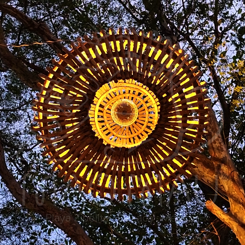 Jardín de Mao Mau
